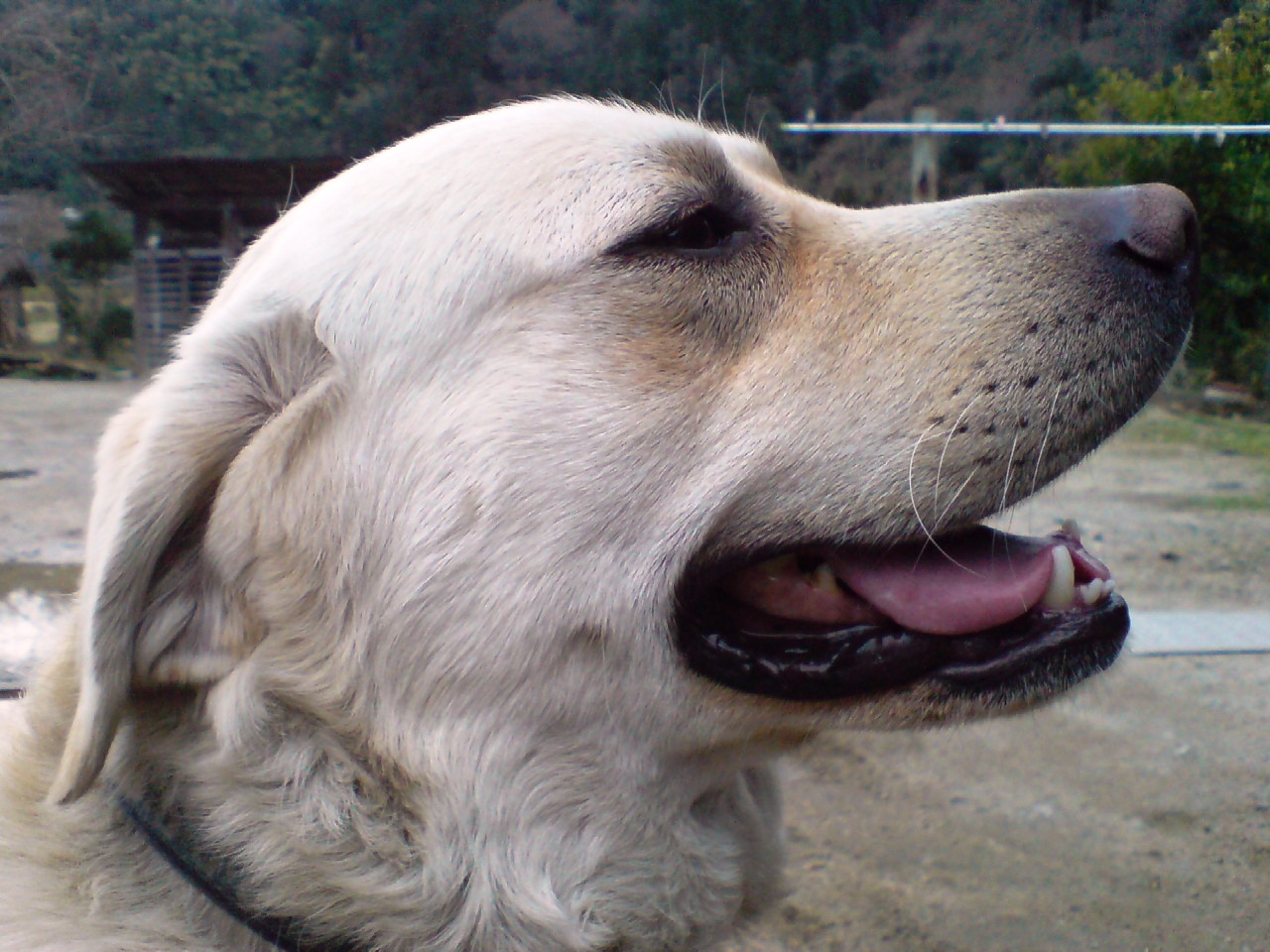 f0017712_20132569.jpg