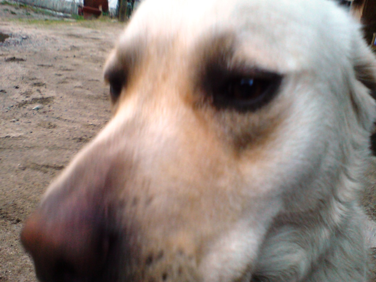f0017712_20144915.jpg