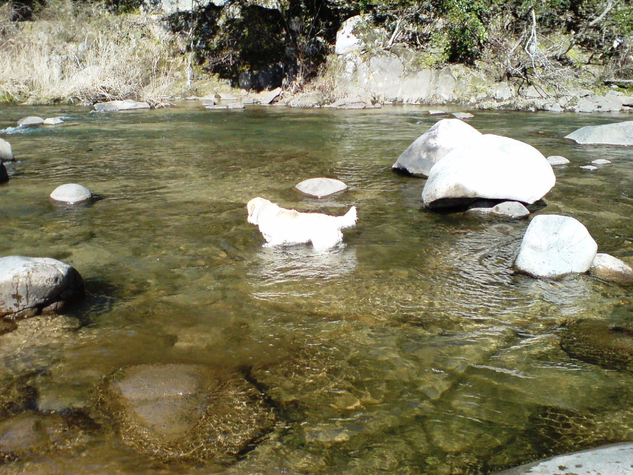 f0017712_207118.jpg