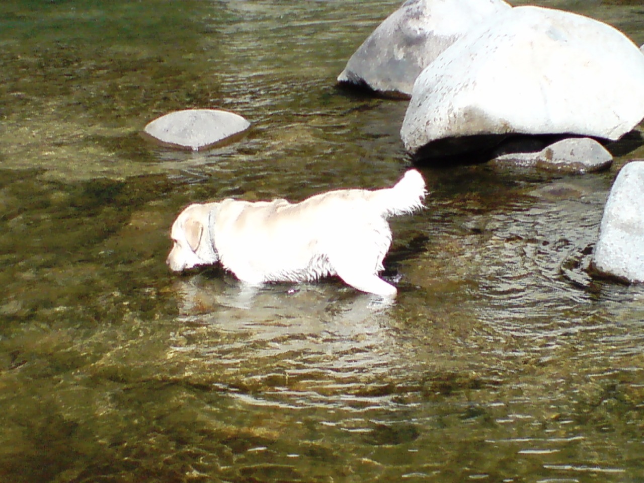 f0017712_2072085.jpg
