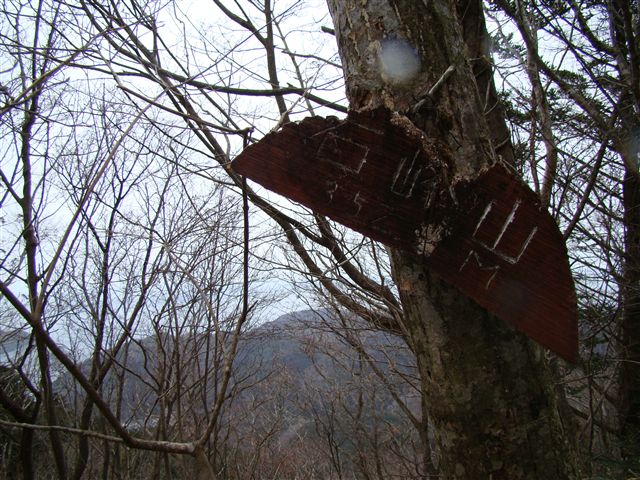 a0127015_21501081.jpg
