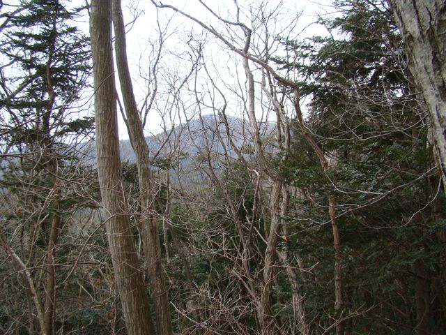 a0127015_21571994.jpg