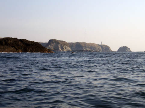b0117718_12434014.jpg