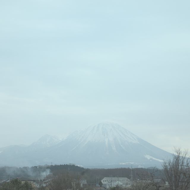 a0009825_20594996.jpg