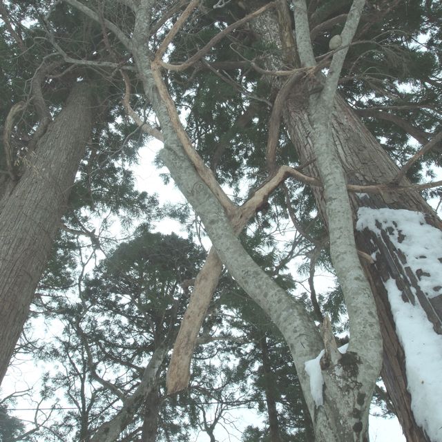 a0009825_2101847.jpg