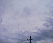 a0070831_9372935.jpg