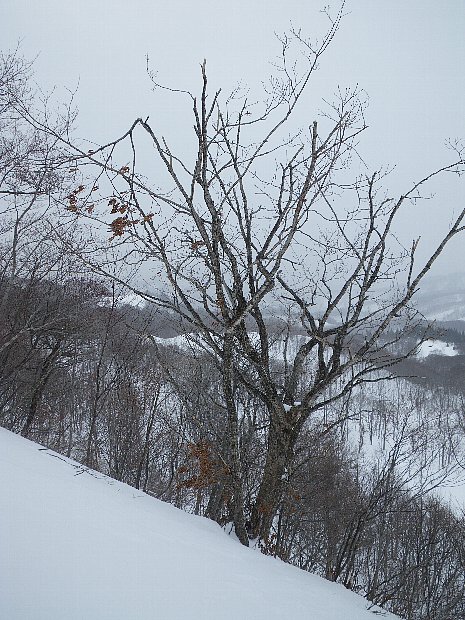 f0118332_22431992.jpg