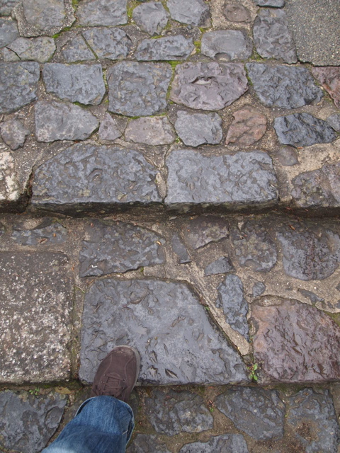 d0105133_15491775.jpg