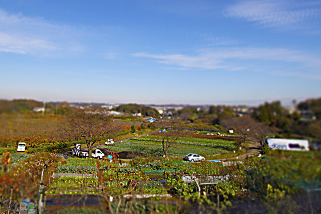 e0044635_14555179.jpg