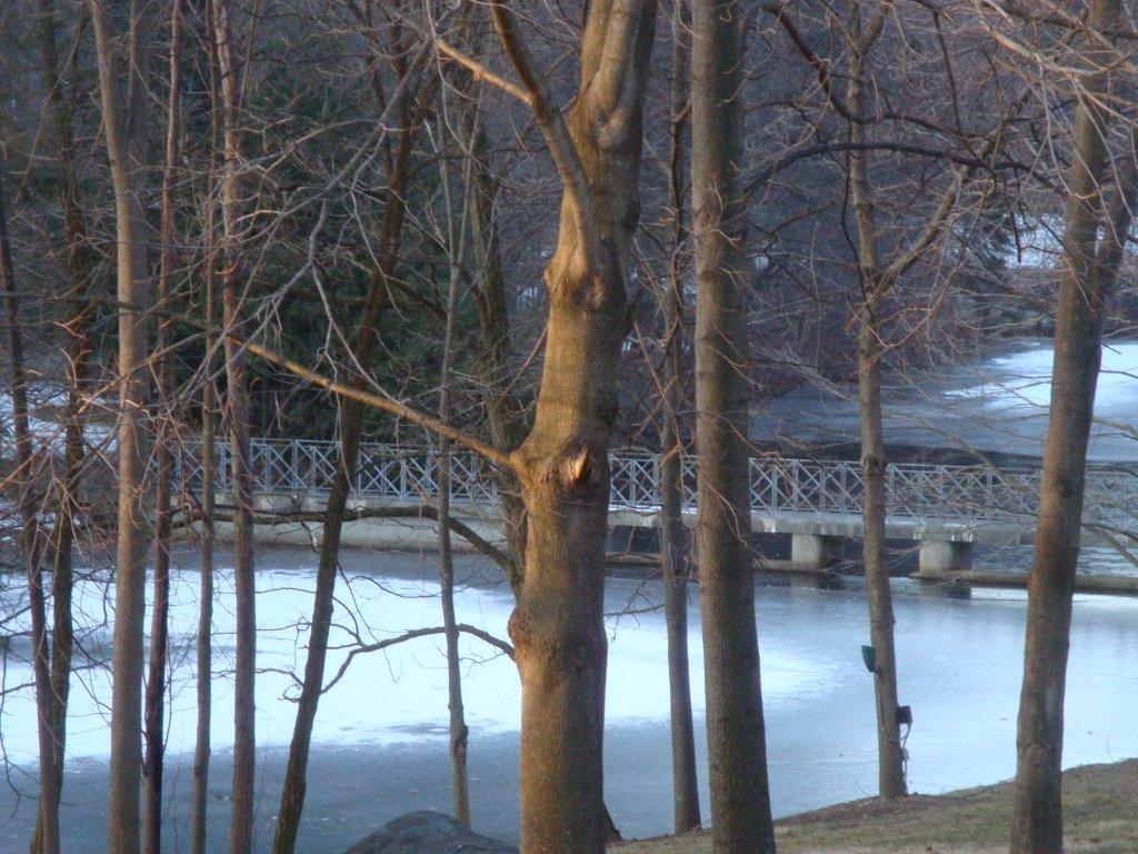 b0115536_13461371.jpg