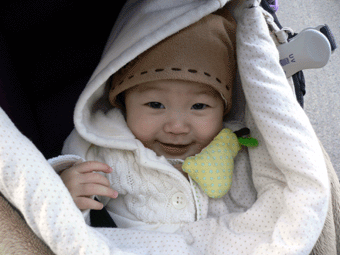 c0080038_1511134.gif