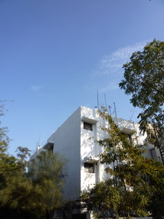a0152839_2421686.jpg