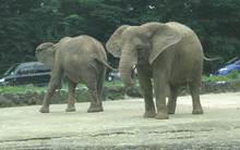 d0016540_1129134.jpg