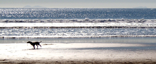 f0162440_17143188.jpg