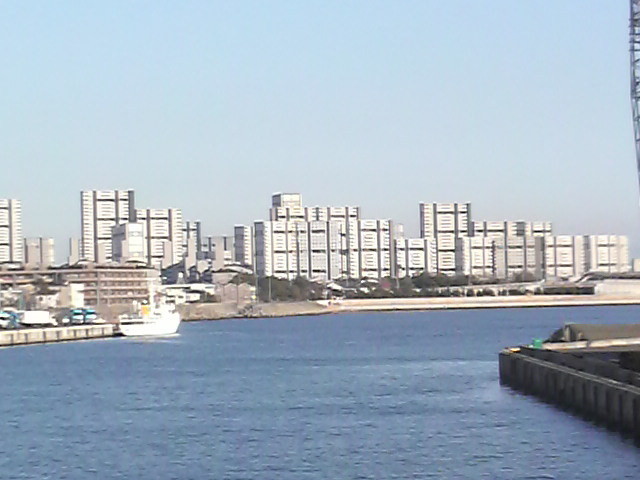 b0129041_8282021.jpg