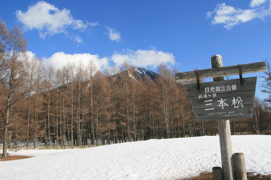 e0007544_2242895.jpg