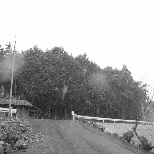 e0136745_1852610.jpg