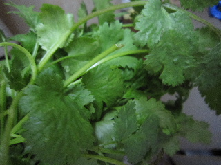 d0063149_23385231.jpg