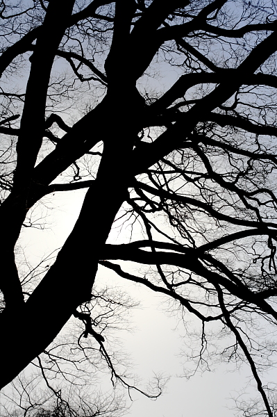 a0024250_21152928.jpg