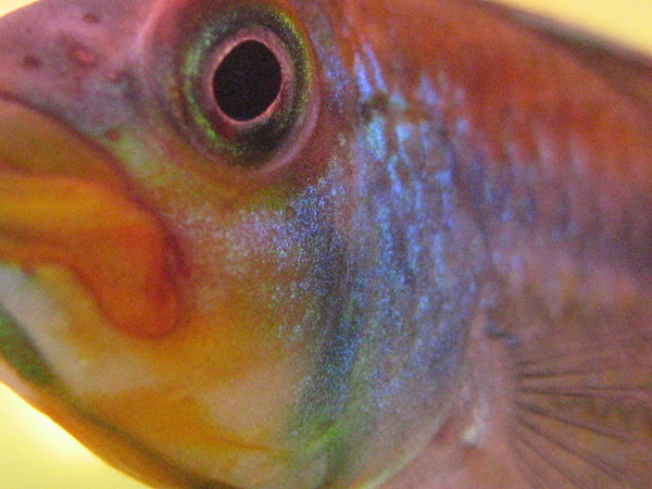 f0198950_18552481.jpg
