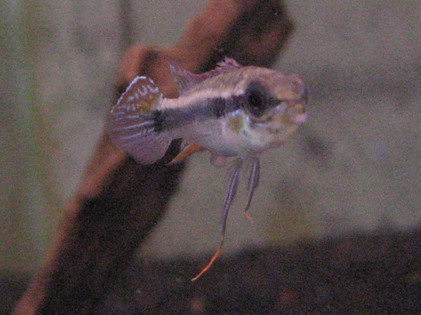 f0198950_18554848.jpg