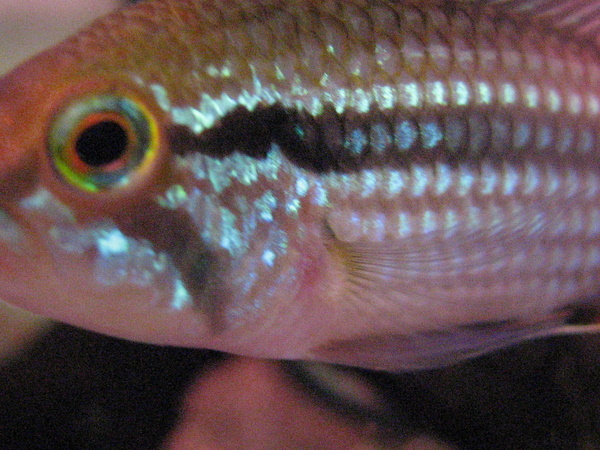 f0198950_18555716.jpg