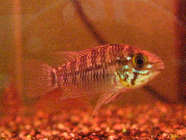 f0198950_1855618.jpg