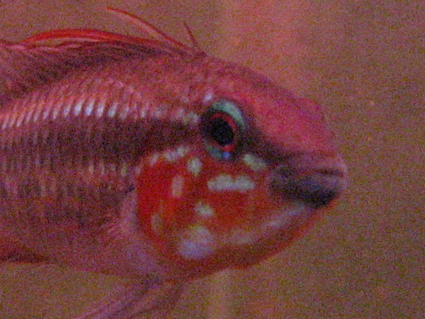 f0198950_1856690.jpg