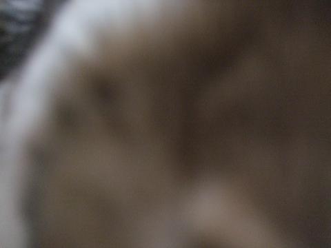 f0149057_23535466.jpg