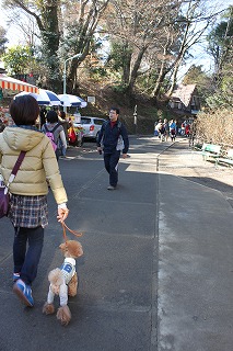 e0129958_15193772.jpg