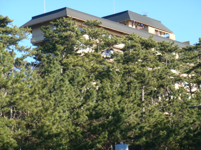 b0061261_21495824.jpg