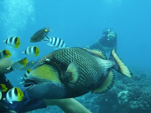 d0041074_9335055.jpg