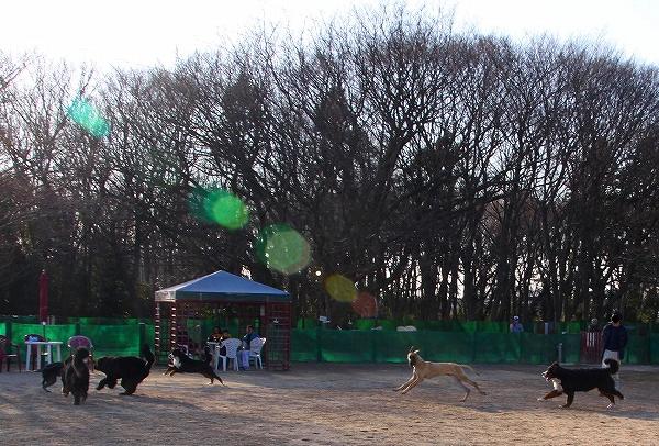 c0149178_1731385.jpg