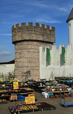 e0190885_2004074.jpg