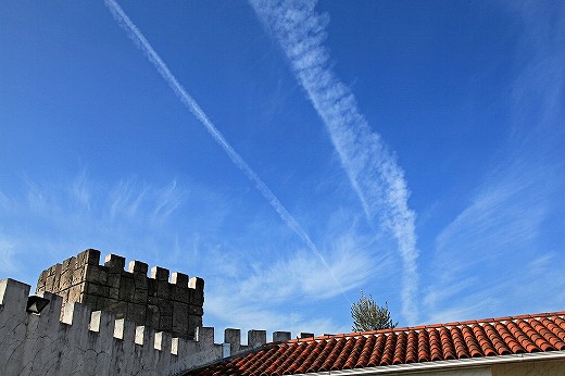 e0190885_2005885.jpg