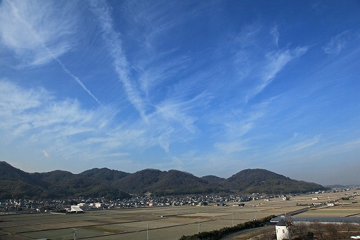e0190885_201335.jpg
