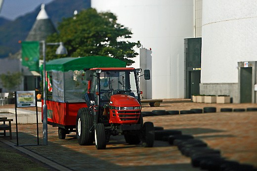 e0190885_2022822.jpg