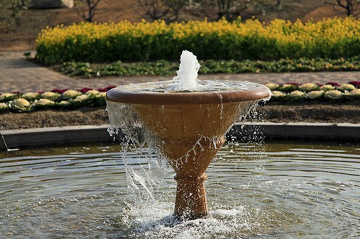 e0190885_2024280.jpg