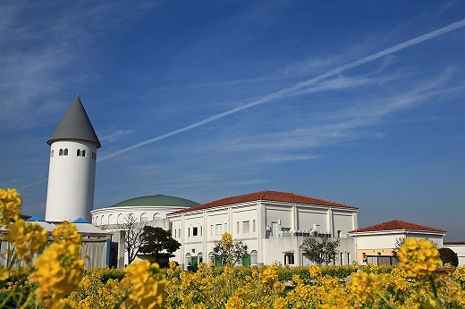 e0190885_2031224.jpg