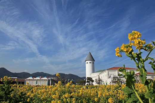 e0190885_203635.jpg