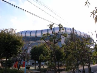 e0042386_5365468.jpg