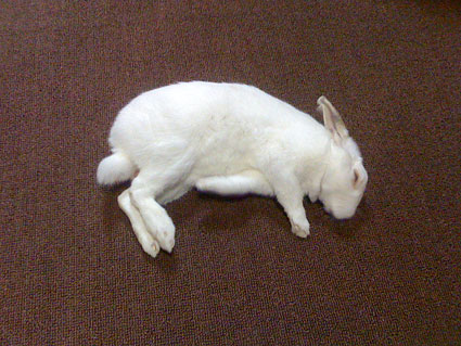 f0201191_22591882.jpg