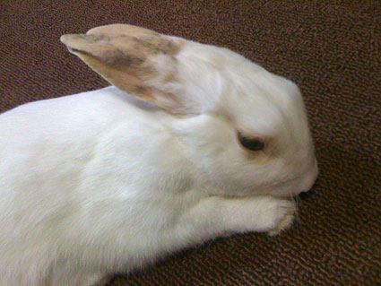 f0201191_2324385.jpg