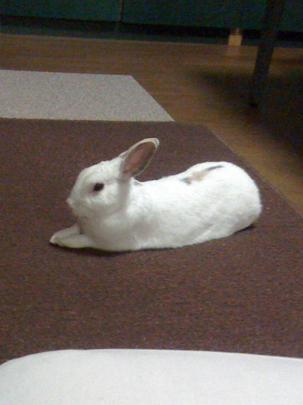 f0201191_2374831.jpg