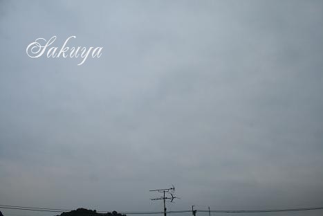e0122194_19162686.jpg