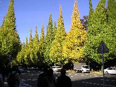 a0021796_12112599.jpg