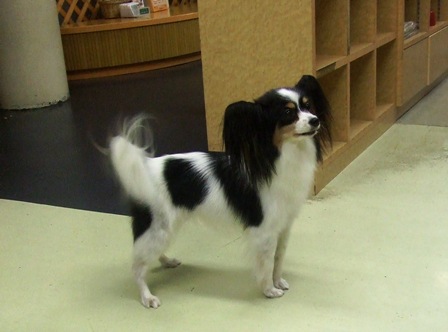 f0077697_19503866.jpg