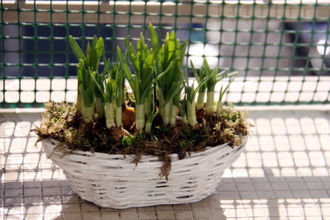 c0090198_3282525.jpg