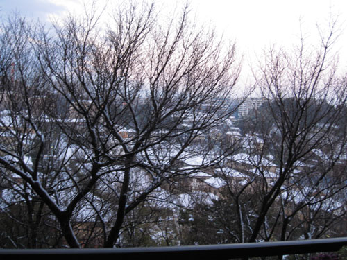 c0227800_732484.jpg