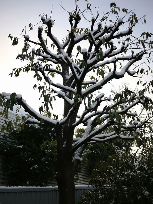 c0187503_22535944.jpg